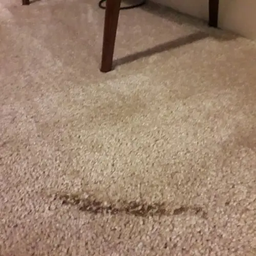 Carpet Burn Repair Cranbourne