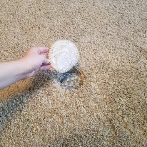 Carpet Hole Repair Cranbourne